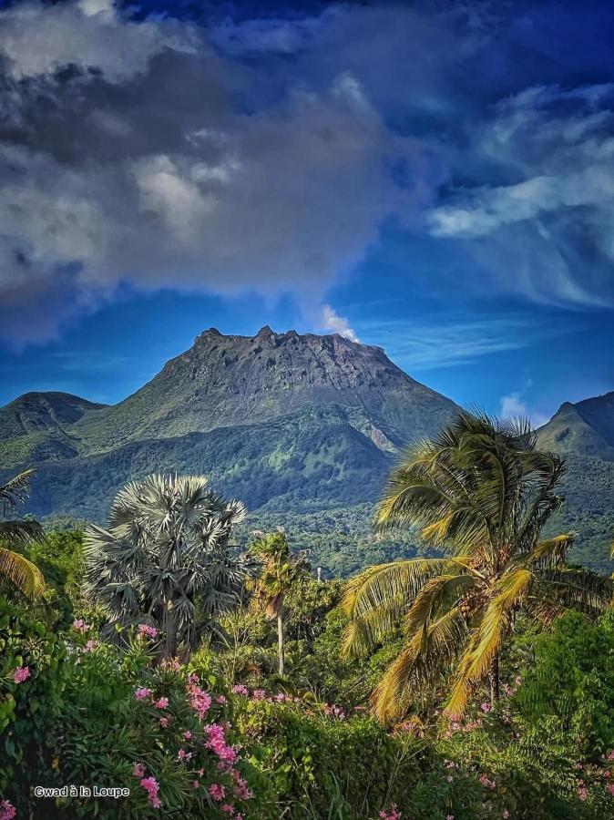 Sublime Vue Mer et Volcan , Pierre et Vacances, Gwadapaye Studio Sainte-Anne  Eksteriør bilde